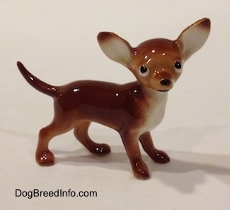 The right side of a brown with white Chihuahua figurine. The eyes of the figurine are black with white around the edges. Its head is round with a snout that sticks out to a point, a black nose and ears that are set wide apart and stand straight up.
